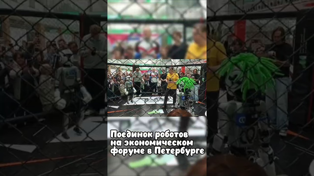 Robot duel at the St. Petersburg Economic Forum