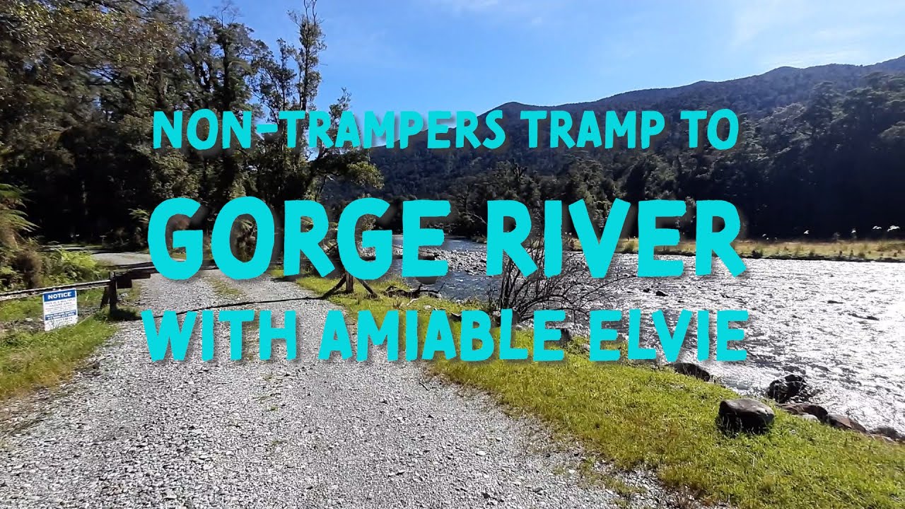 Tramp to Gorge River - Southwest Coast, NZ