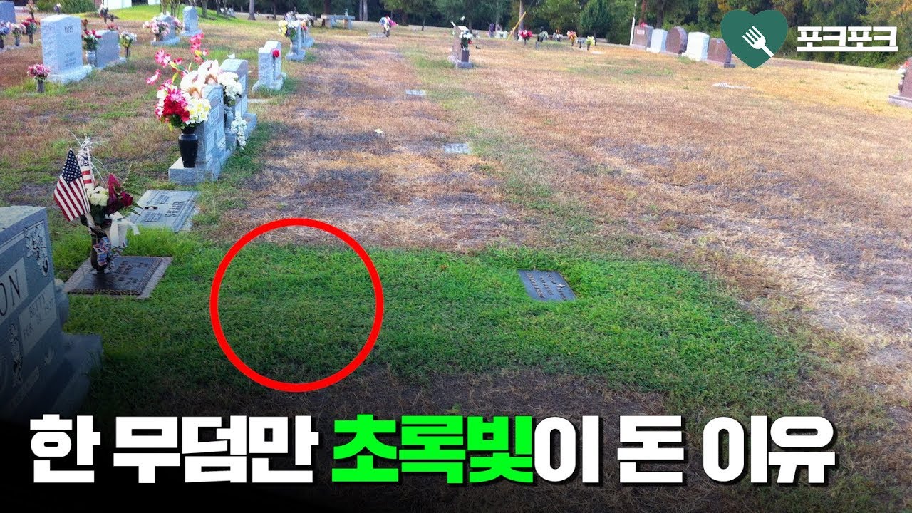 왜 아들 무덤만 푸른색인지 몰랐던 엄마. 이유 깨닫자, 눈물바다 돼