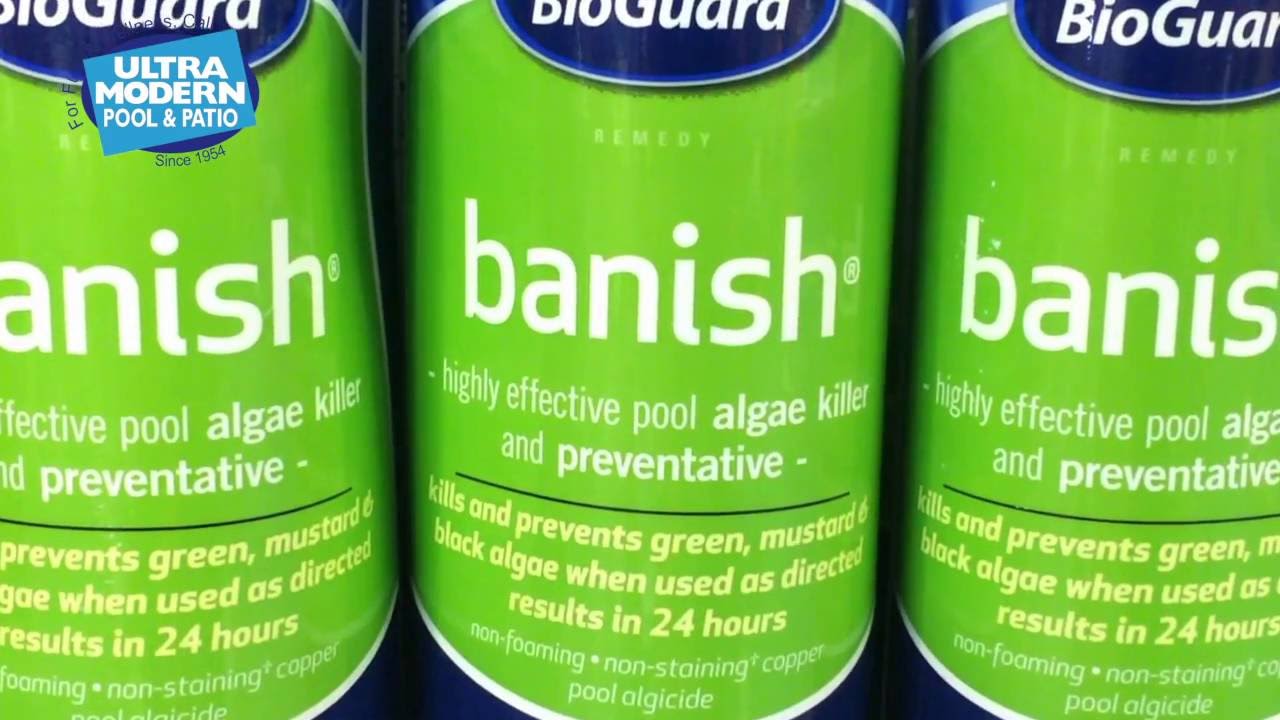 Ultra Modern Expert Advice: Algae Prevention