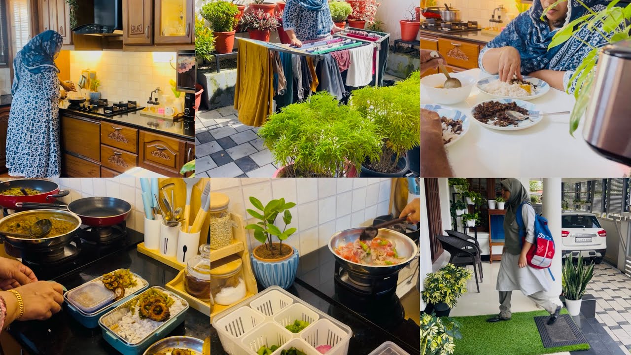 Day In My Life| Full  Day Routine#breakfast#lunch#cleaning&plantsrearrangement#subinanishad