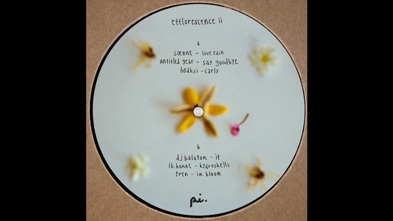 LB Honne - Hydroshells [PI001]