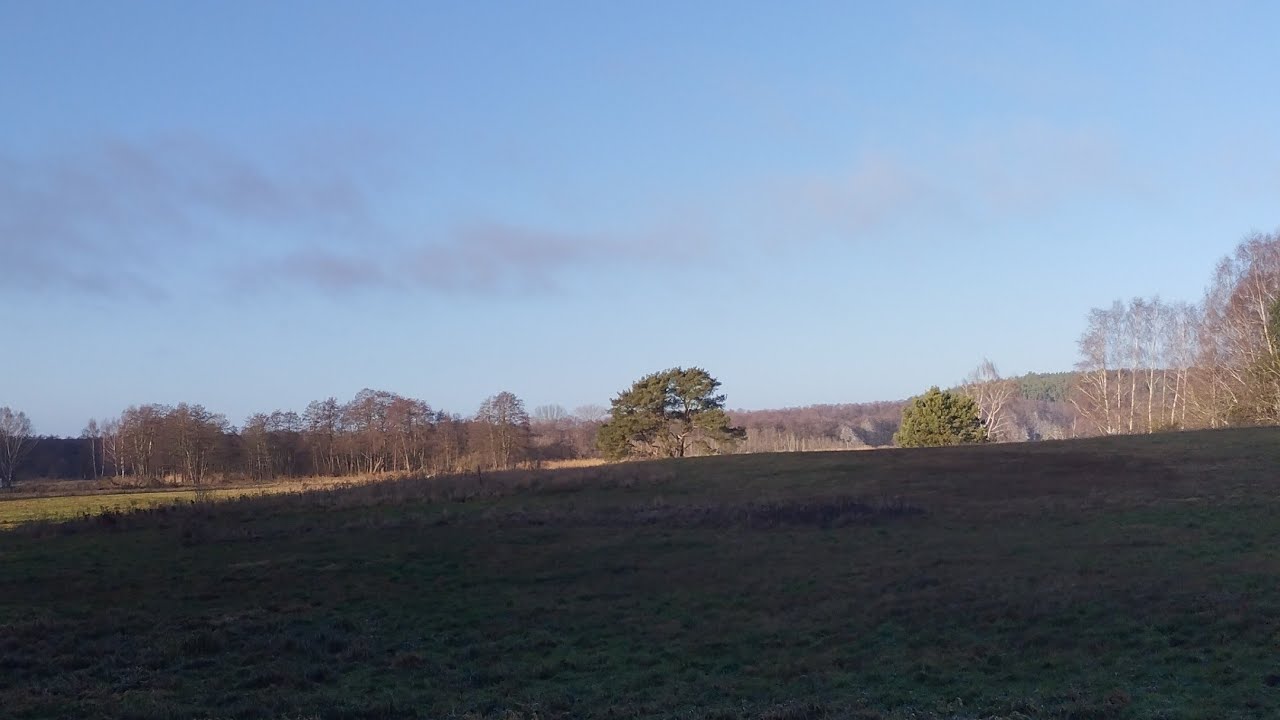 Waldweg auf der Insel Usedom   29 12 2025