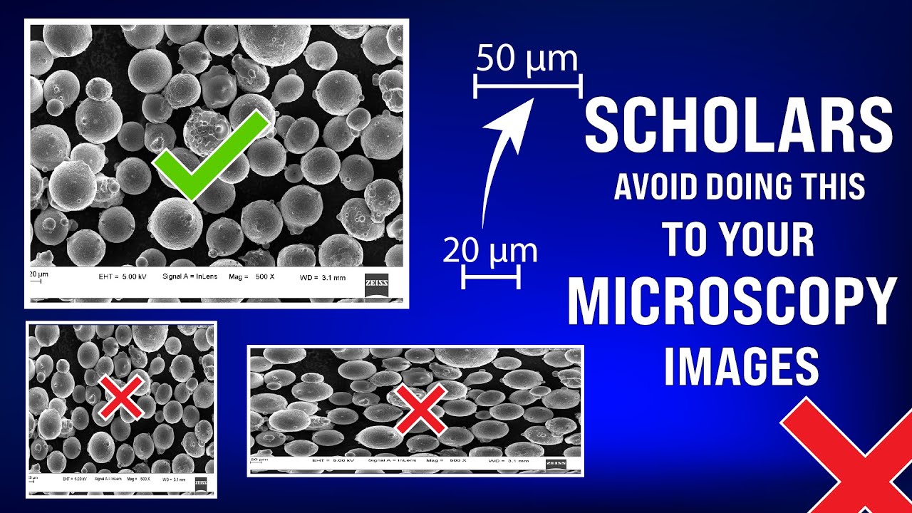 Stop Stretching Your Microscopy Images! Maintain Proper Aspect Ratio