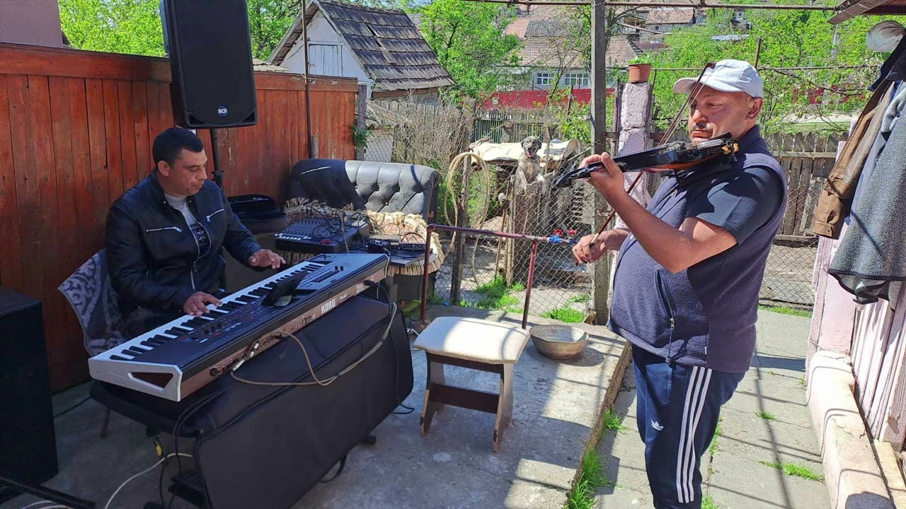 SURAJ DE LA TARNAVENI SI FORMATIA ❌Instrumentala COVER❌ 2024