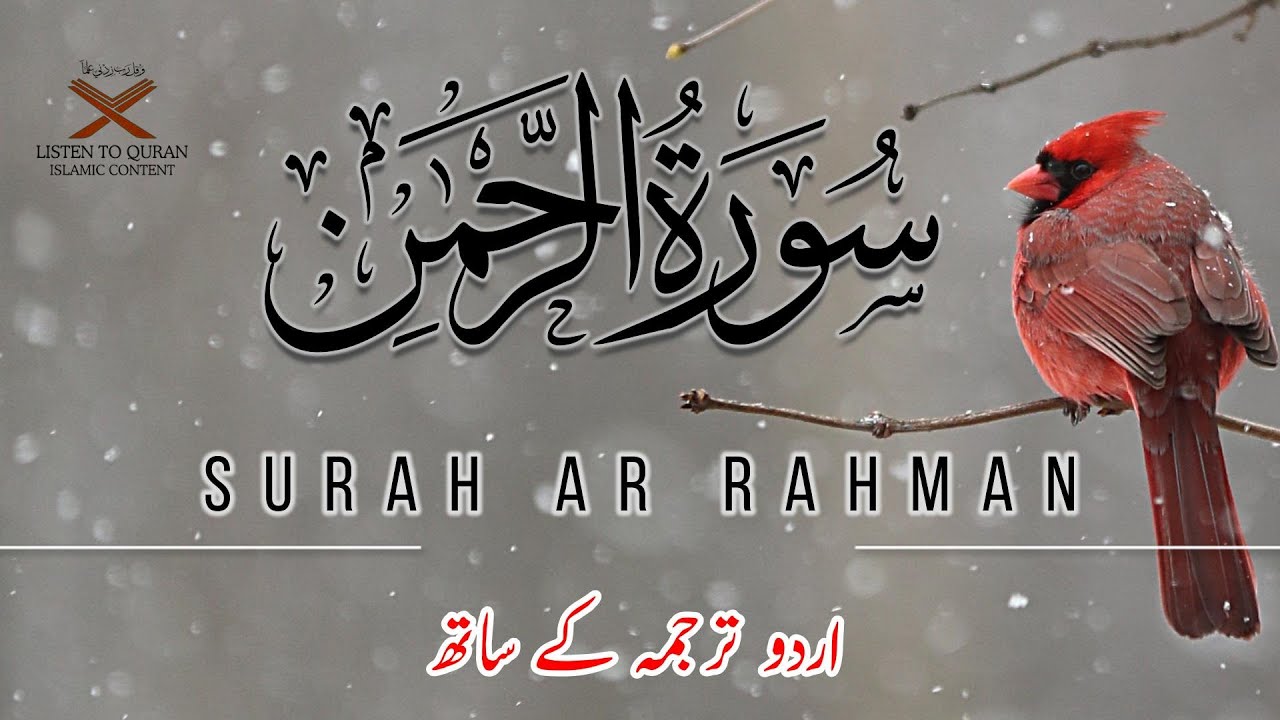 Surah Rahman With Urdu Translation | سورة الرحمن | quran recitation | beautiful quran recitation