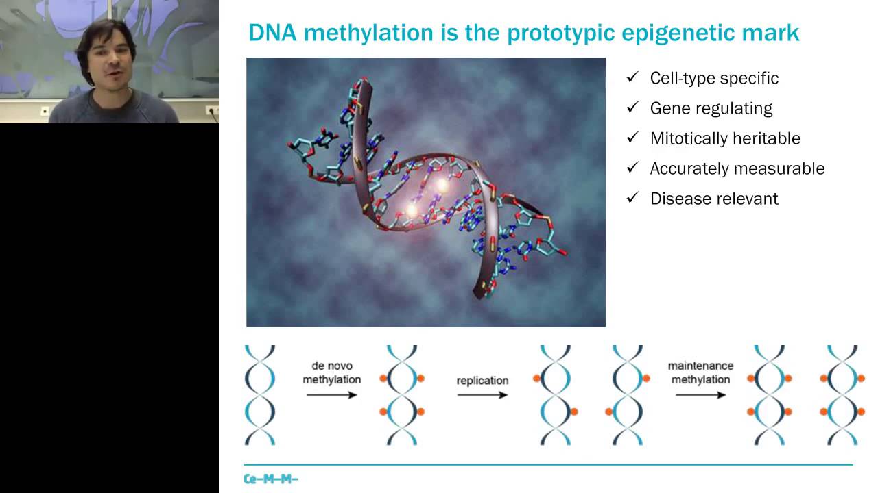 DNA methylation analysis by multiplexed reduced representation bisulfite sequencing (RRBS)