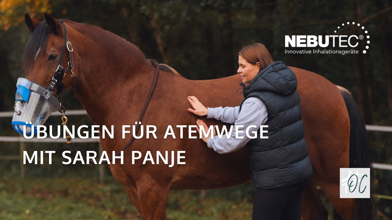 Übungen für Atemwege mit Pferdephysiotherapeutin Sarah Panje | NEBU-TEC