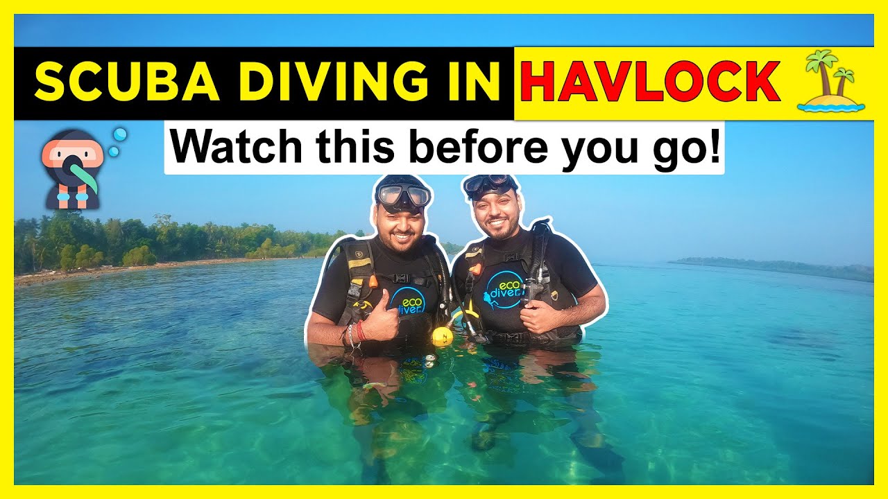 Scuba Diving in Andaman: Discovering the Underwater world of Havelock Island