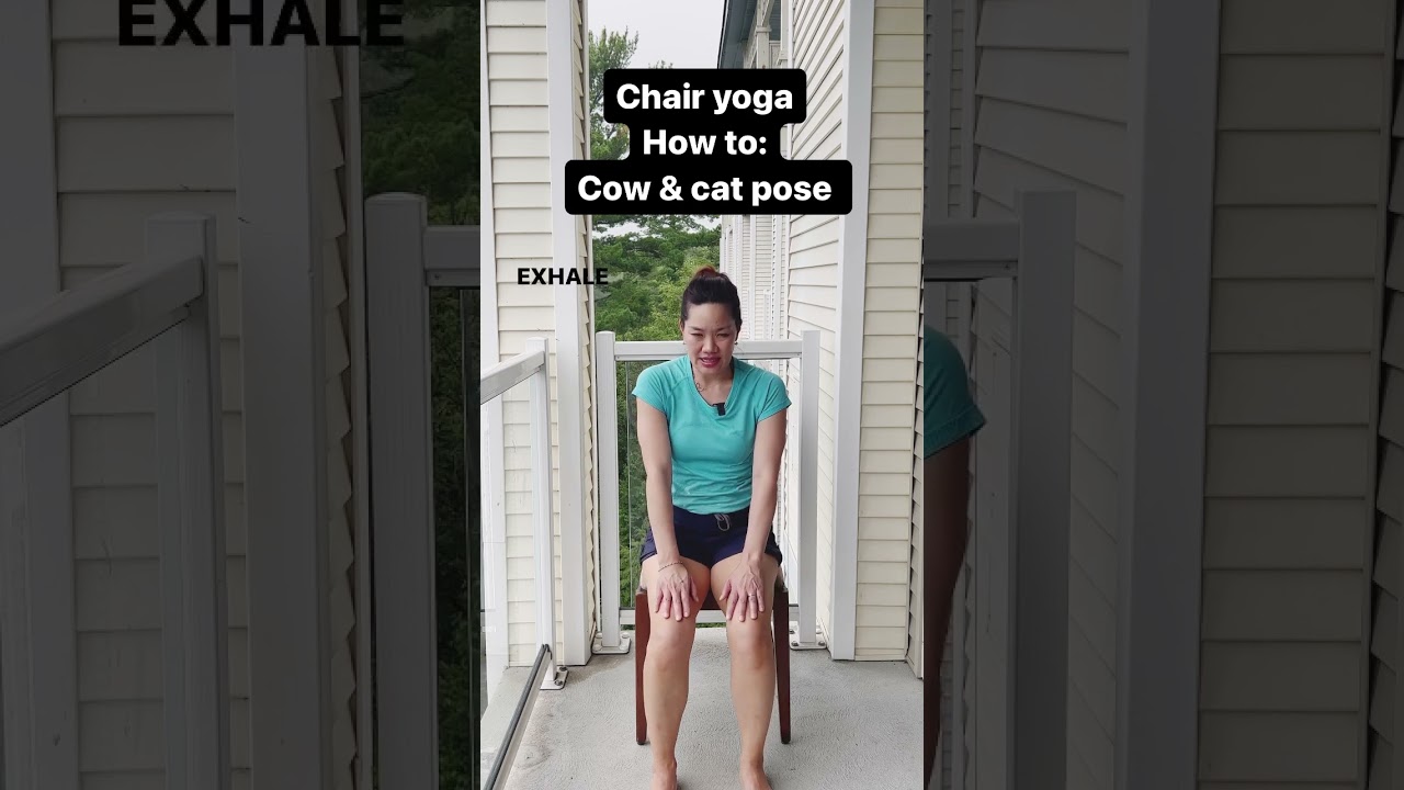Cat cow - chair yoga 🪑
