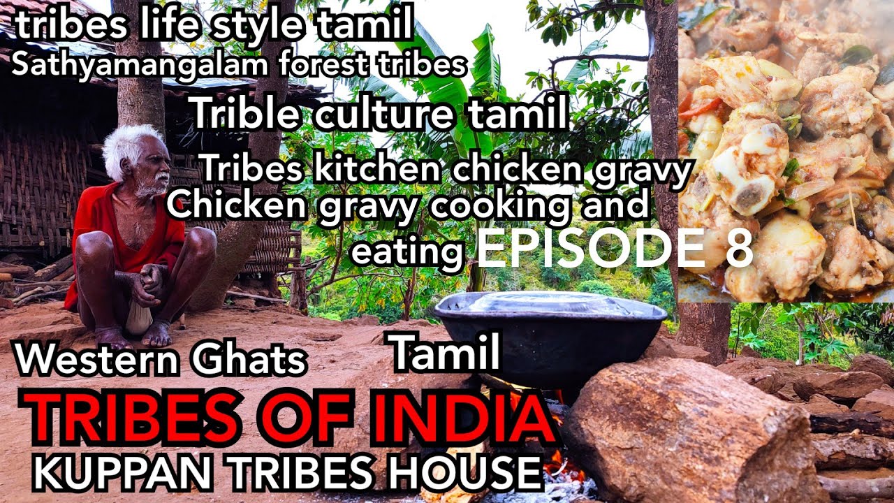 அன்புக்கு நாம் ஒவ்வொருவரும் அடிமை! பேரன்புக்கு இந்த உலகமே அடிமை! | TRIBES OF INDIA | TRIBES OF TAMIL
