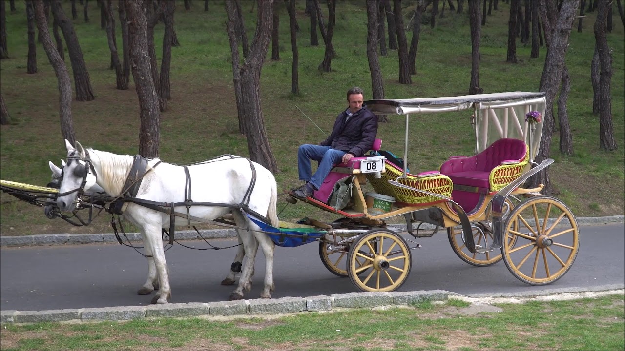 FAYTON ile Heybeliada Turu - ADALAR - İSTANBUL - T&Uuml;RKİYE