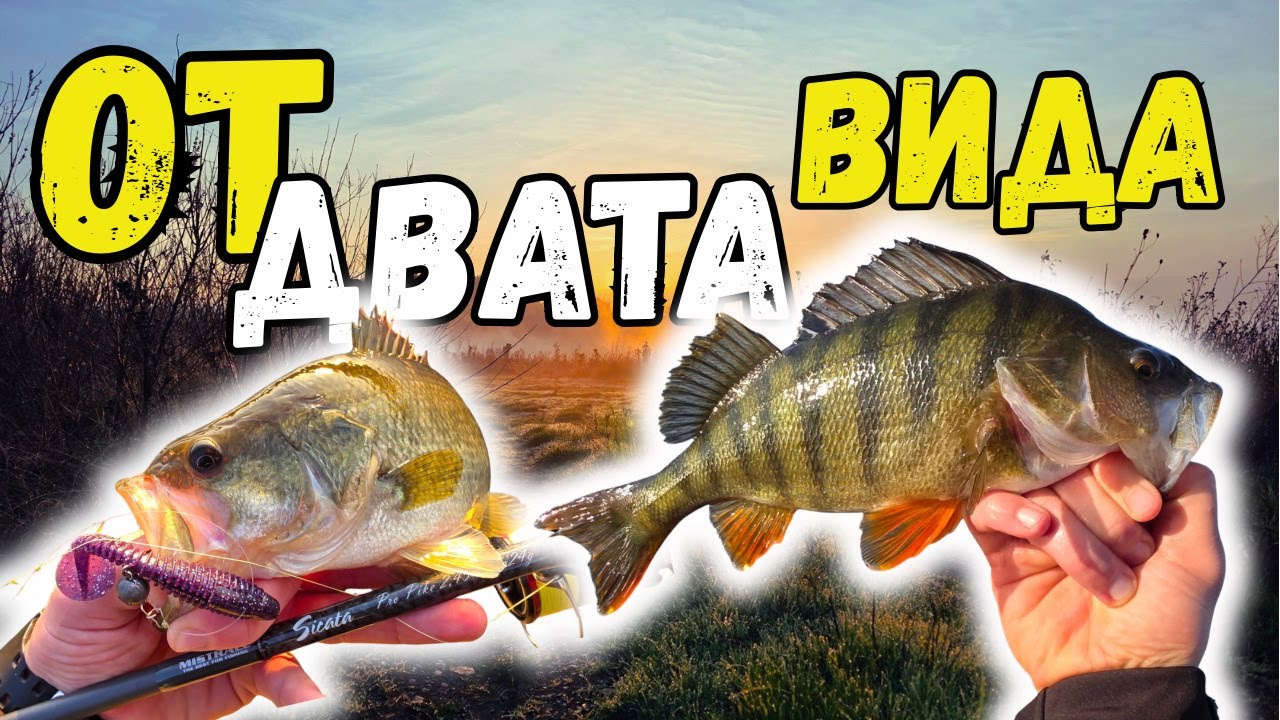 УЛОВИХ от ДВАТА ВИДА в ЕДИН ИЗЛЕТ!!! РИБОЛОВ на БАСОВЕ и ГОЛЕМИ КОСТУРИ!!