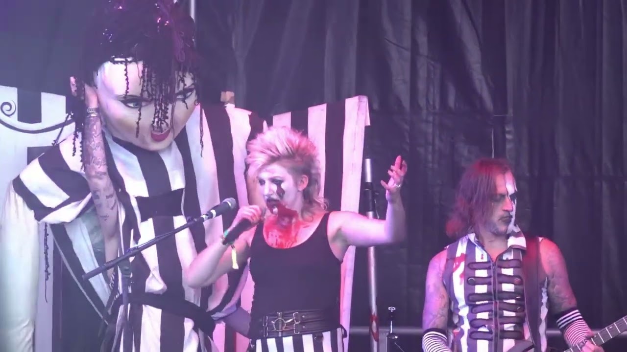 Ward XVI - Toy Box (Live at Maid of Stone Festival)