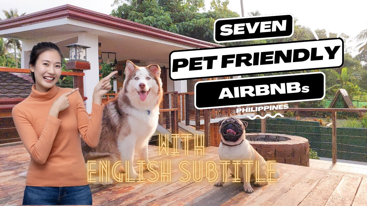 7 Pet-friendly Airbnb with Private Pool (Aling Airbnb Pwede Mag-Swimming Ang Pet Dogs)