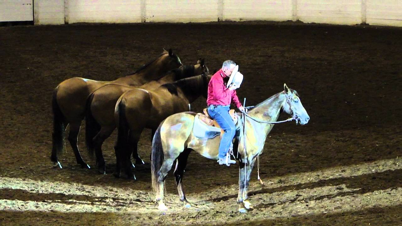 Guy McLean Cantering Backwards on Spinabbey at Equine Affaire 2012