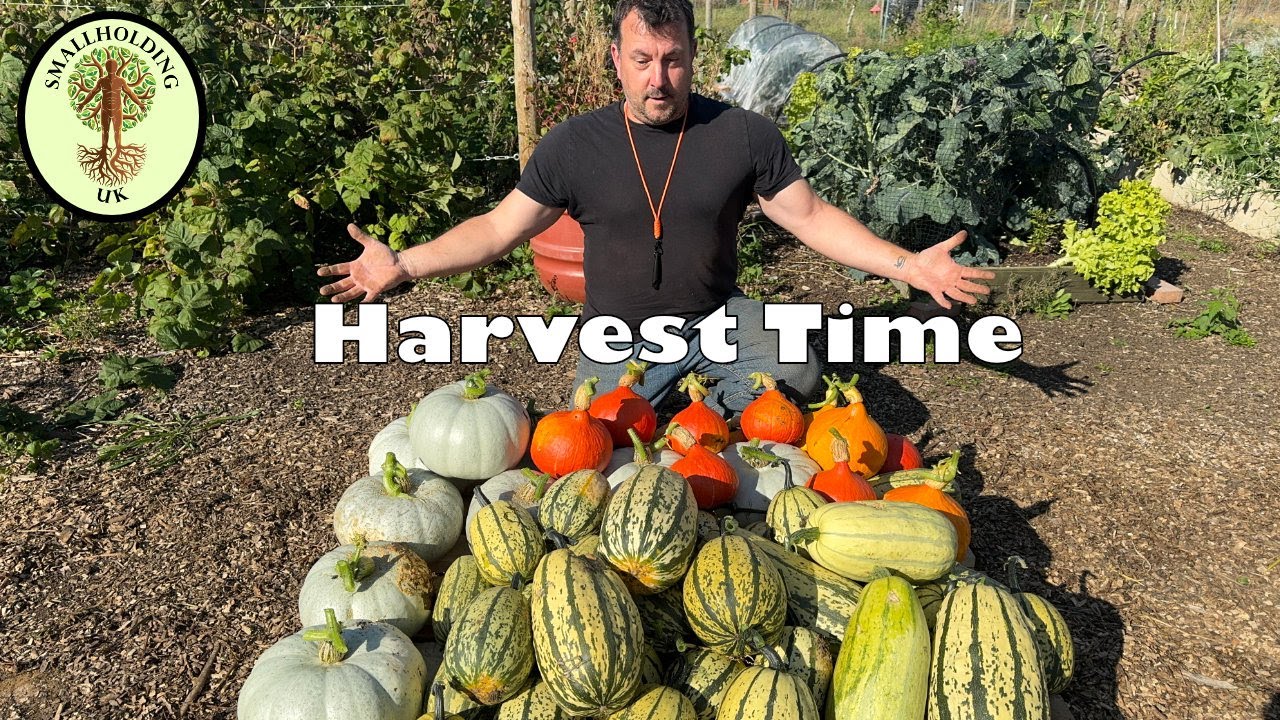 Squash Harvest from the No Dig Garden