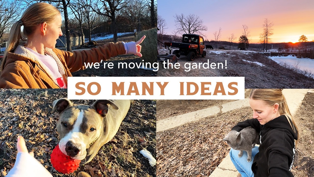 Dreaming Up This Year’s Garden