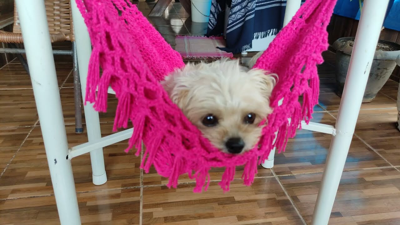 REDE DE CROCHÊ PARA GATO😻 E CACHORROS E PARA BONECA, FICOU UM LUXO 😍💖