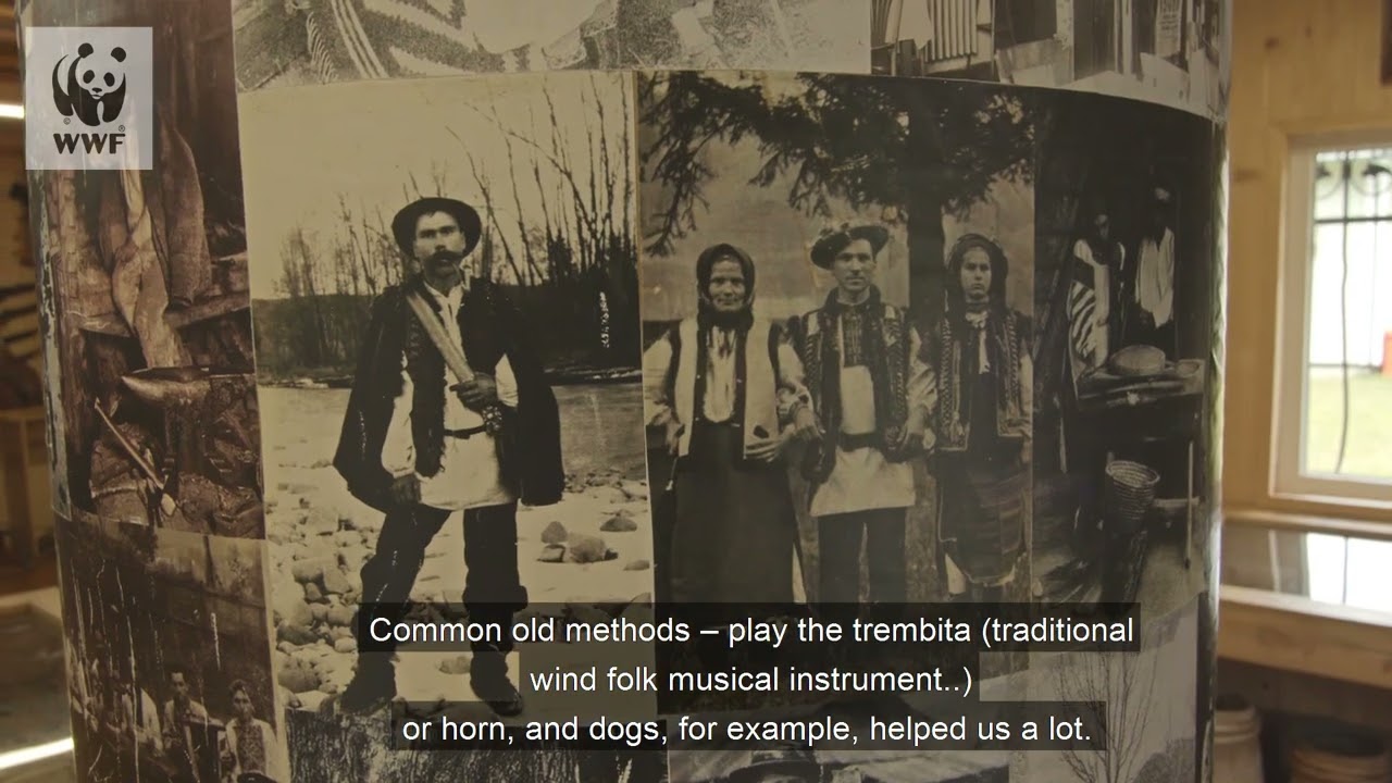 Traditions of coexistence in the Ukrainian Carpathians: noise means