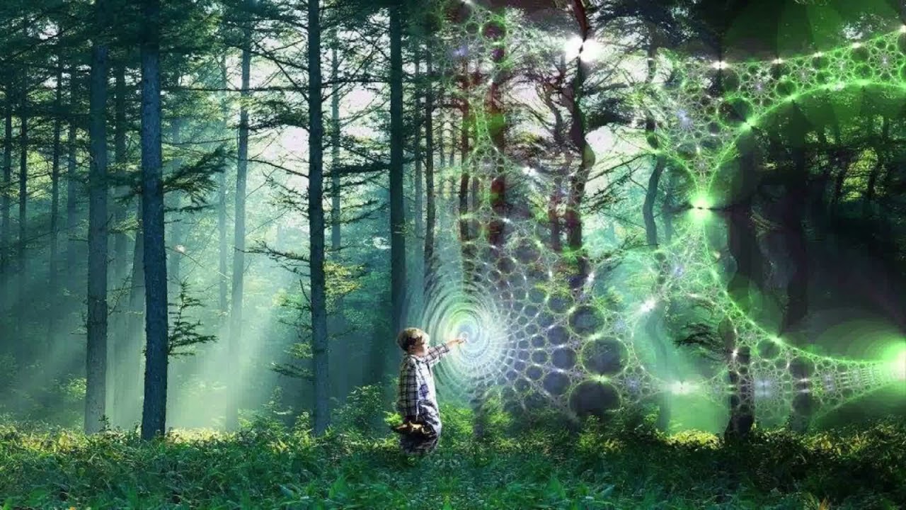 ▪ ◄ ﴾  Dark Forest Psytrance Mix   ﴿ ► ▪