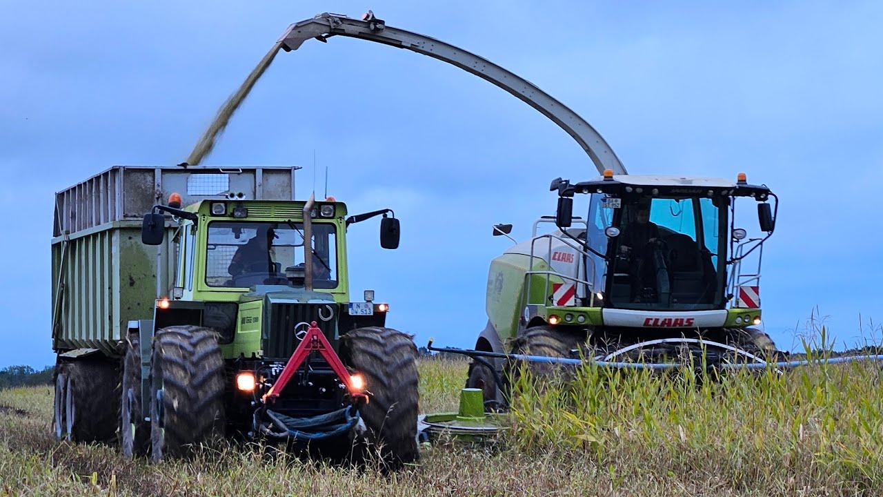 MB-trac 1300 und John-Deere Sound beim Maishäckseln `24 ...Kaweco Umfall...