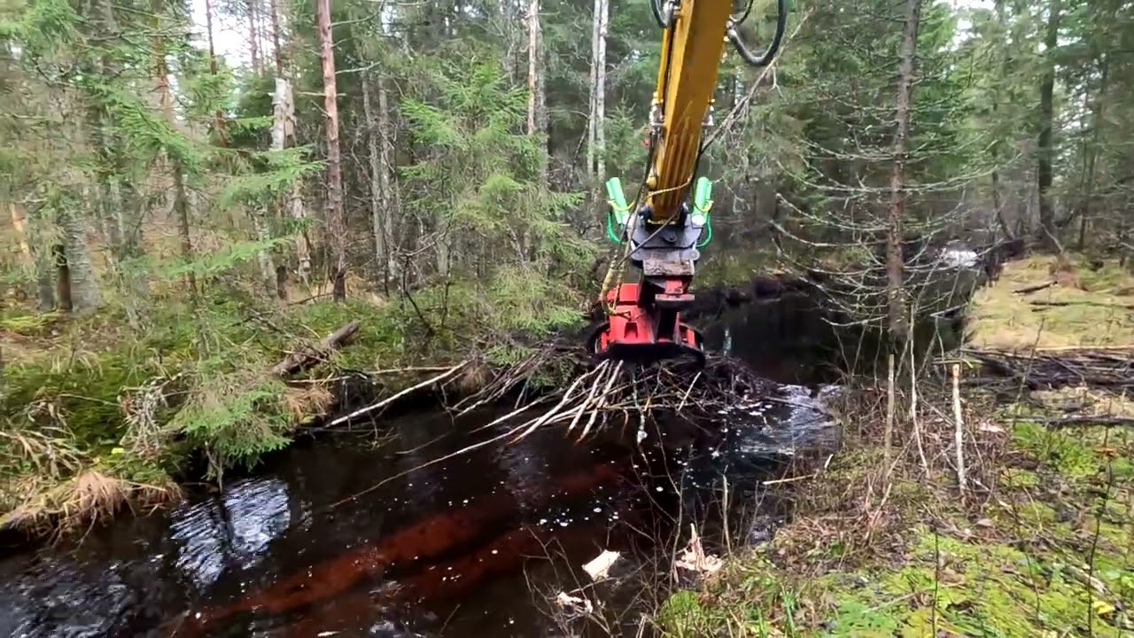 Riverbank clearing part 3