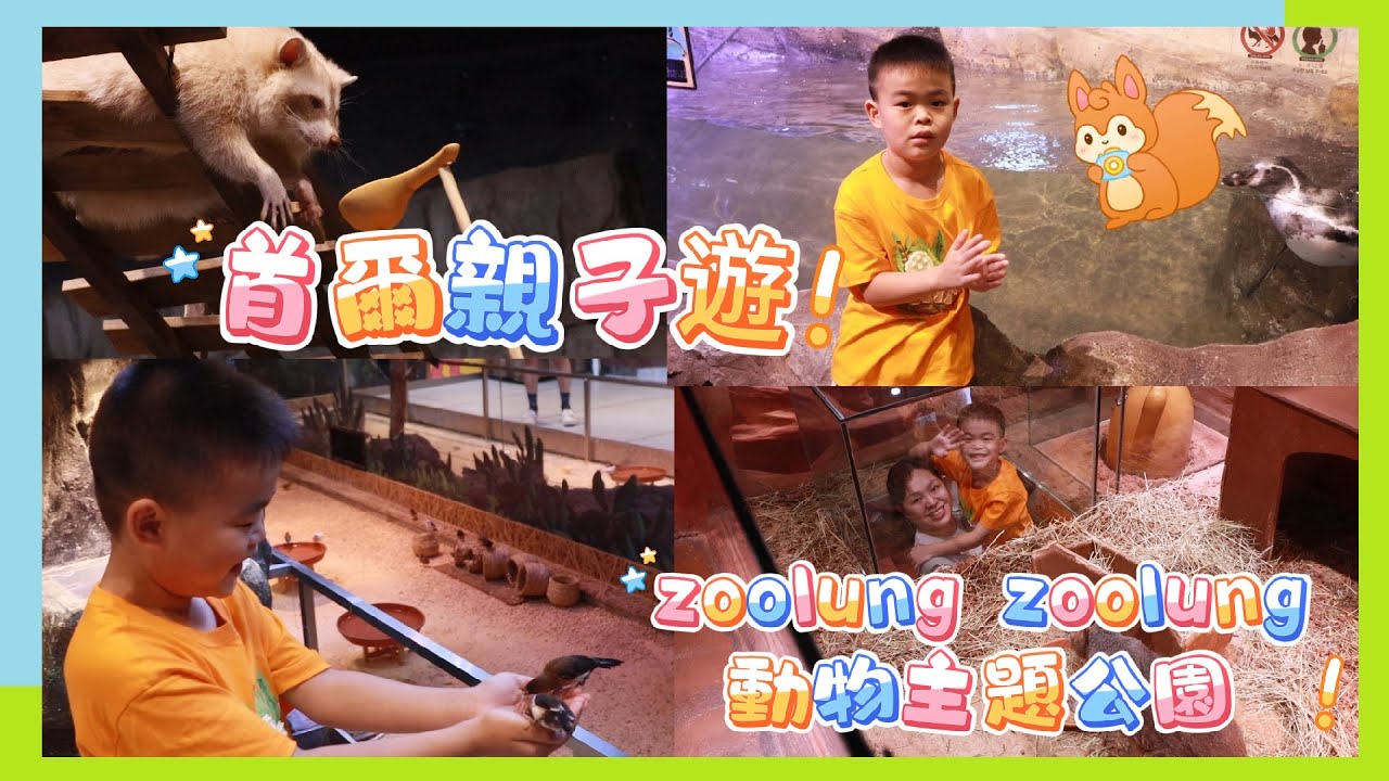 首爾親子遊| 果皮仔去韓國 |zoolung zoolung動物主題公園|首爾室內動物園|韓國親子景點推薦|首爾 |KOREA |永登浦