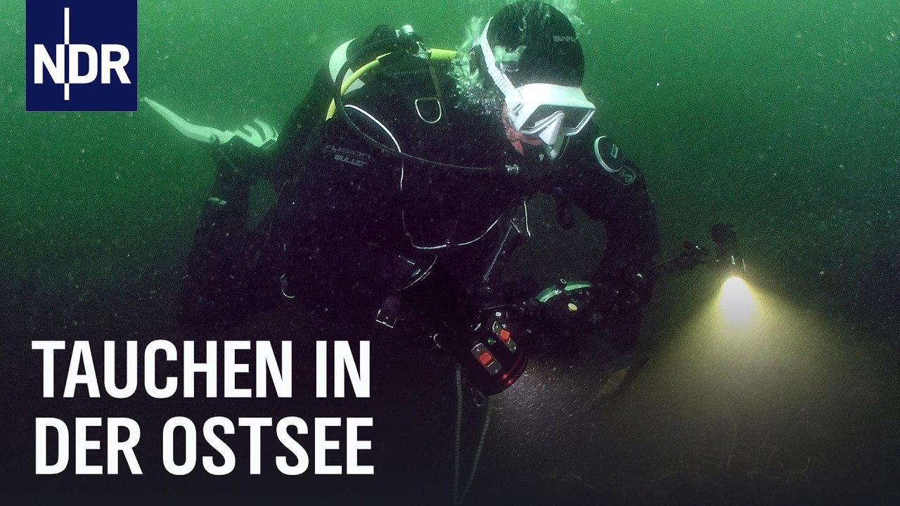 Tauchabenteuer Ostsee | Die Nordreportage | NDR Doku