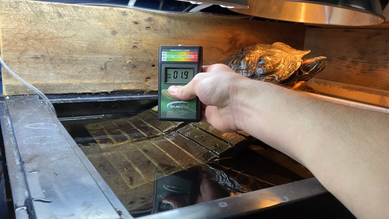 Measuring the UVB Output In The Reptile Room With My New SOLARMETER 6.5R!!!| DIY Reptiles