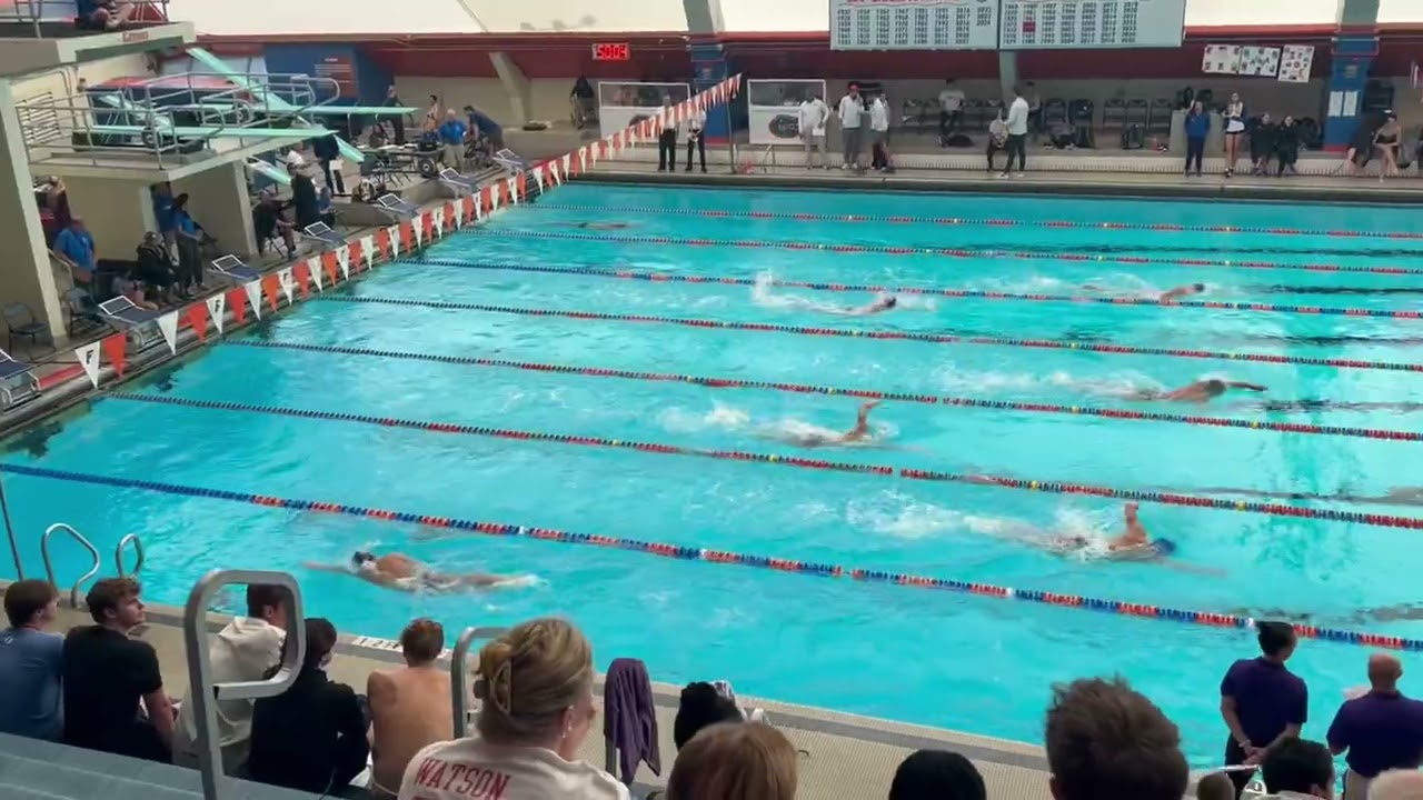 LSU vs. UF - Men's 500 Free