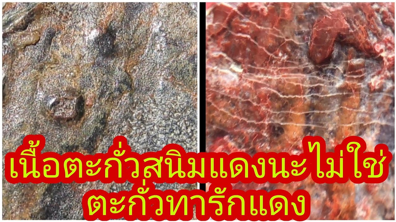 เนื้อตะกั่วสนิมแดง นะครับไม่ใช่ตะกั่วทารักสีแดง ระวังโดนหลอก!!!