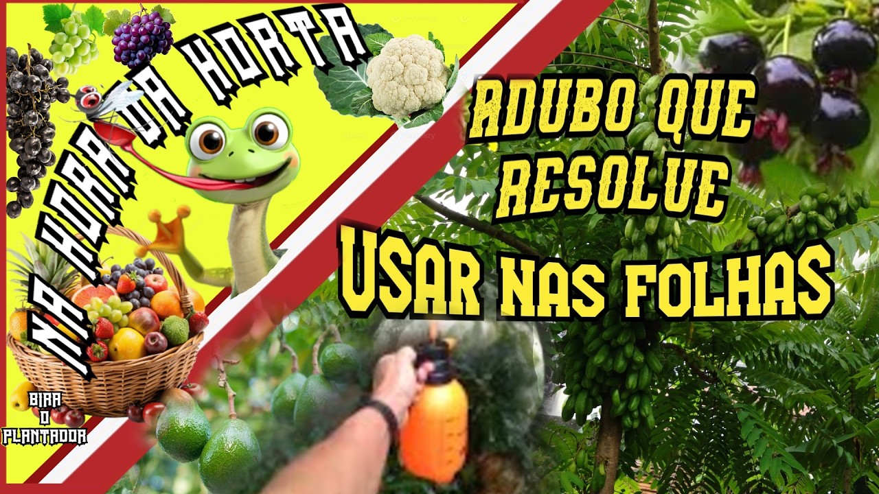 PULVERIZANDO ADUBO e colhendo resultados!