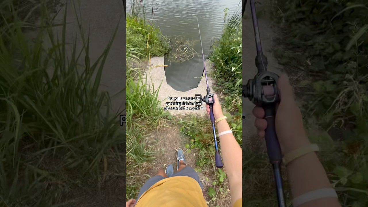 Do drain pipes ACTUALLY have fish??💀 #fishing #shorts