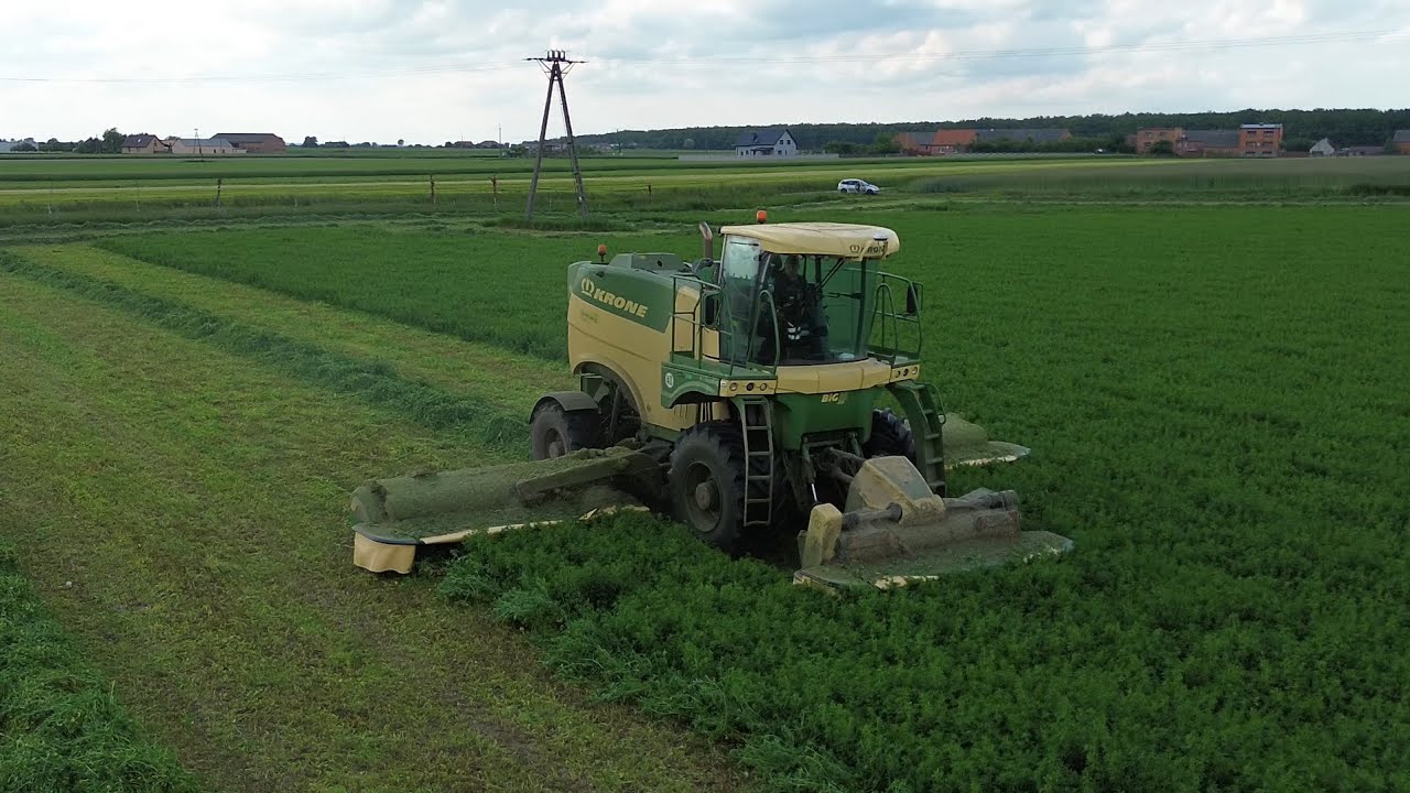 🔥Zbiór lucerny w PR Rusko🔥KRONE BigM450🔥GR KIERZEK🔥