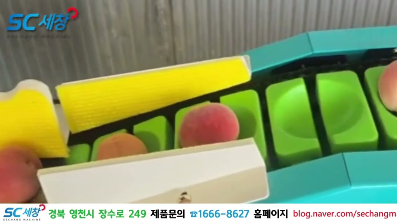 세창기계 추8단 복숭아선별영상@@