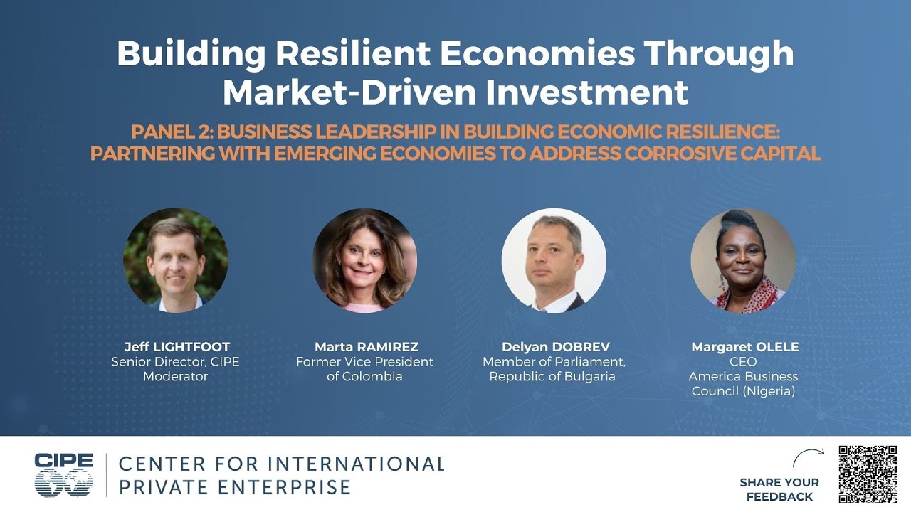 Panel 2: Business Leadership in Building Economic Resilience