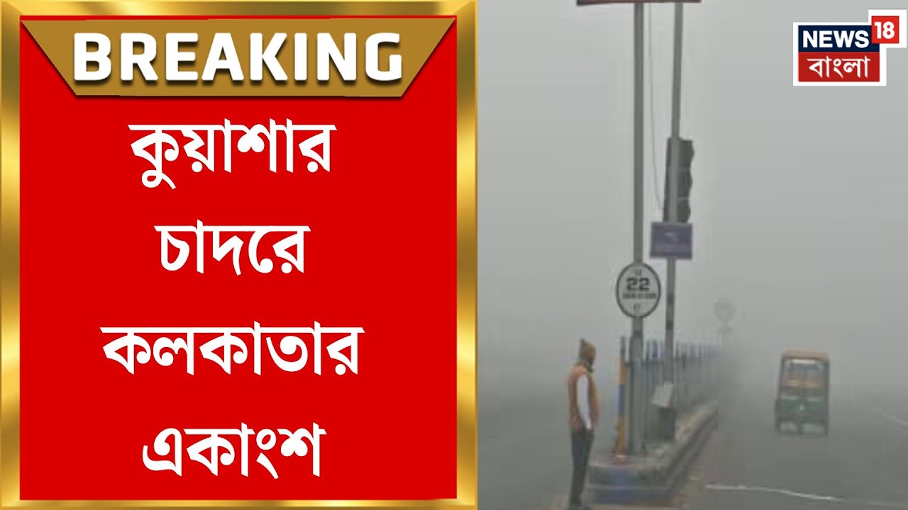 Weather Update Today | সকাল থেকেই কুয়াশার দাপট, ঢেকে গেল ইএম বাইপাস–সেক্টর ফাইভ |Bangla News