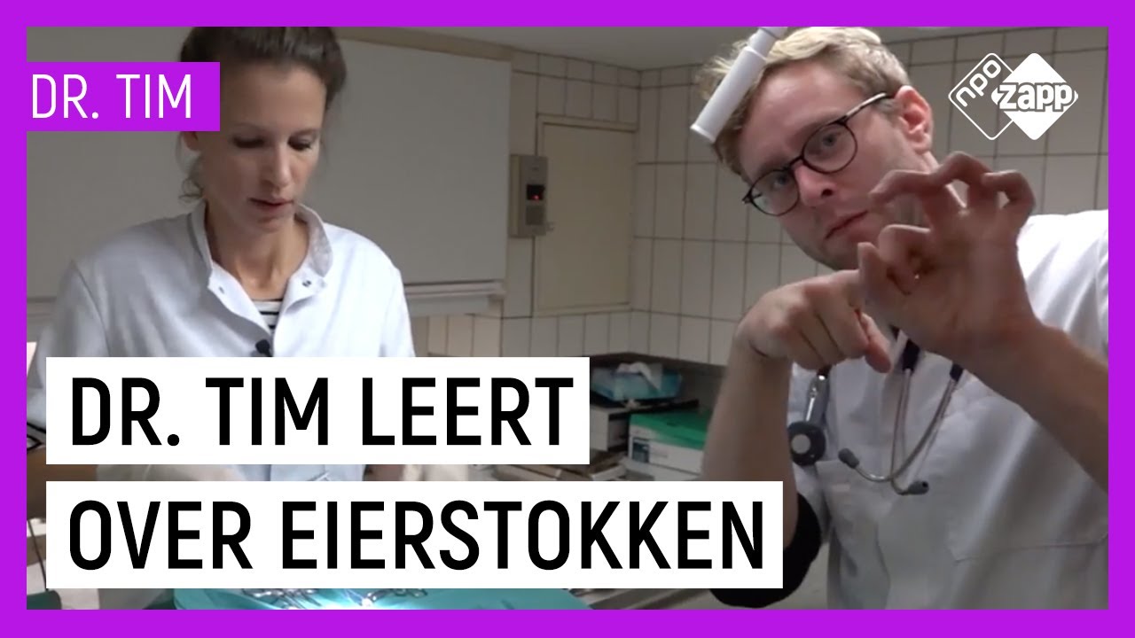 ALLES OVER EIERSTOKKEN | Dr. Tim Beestieboys | NPO Zapp