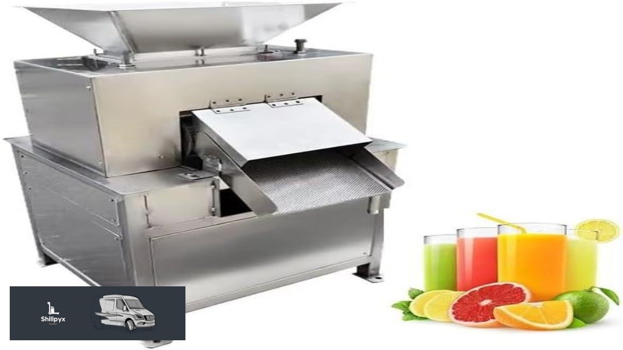 Fruit Juice Making Machine Commercial Apple Lemon Carrot Juice Extractor Automatic Juicer