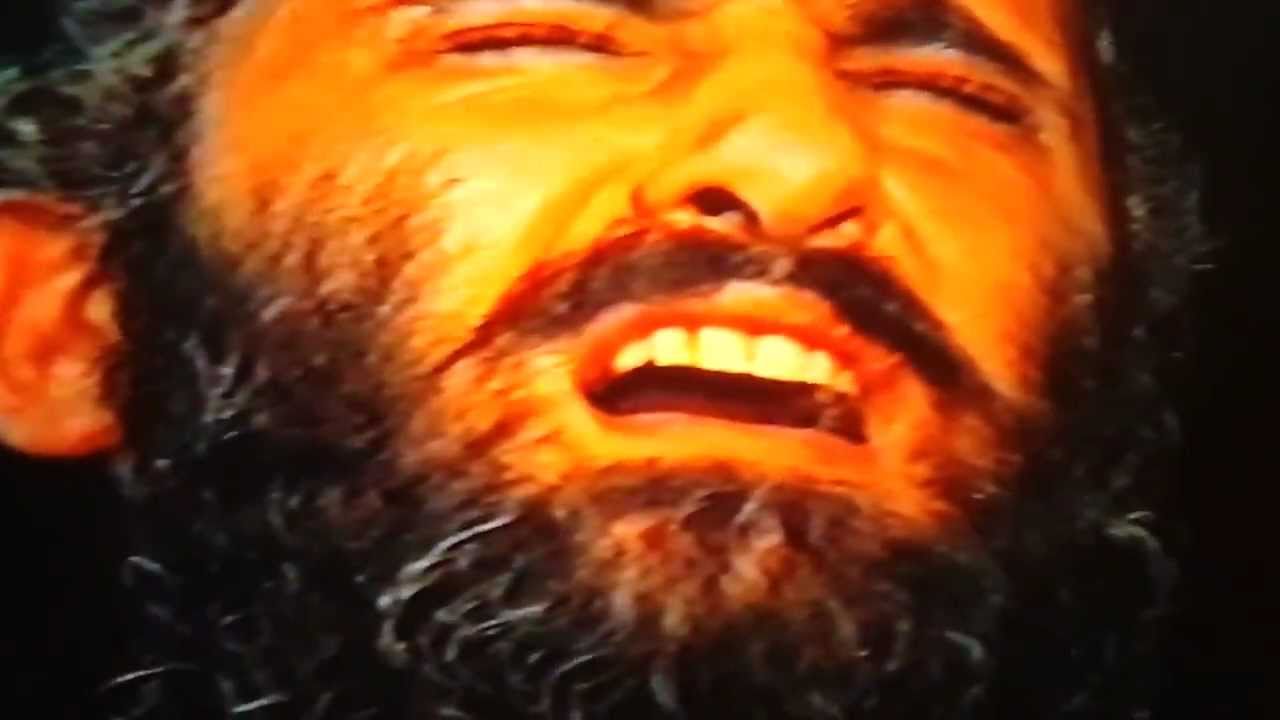 עופר לוי שבחי ירושלים בביצוע ענק (שרון משיח)