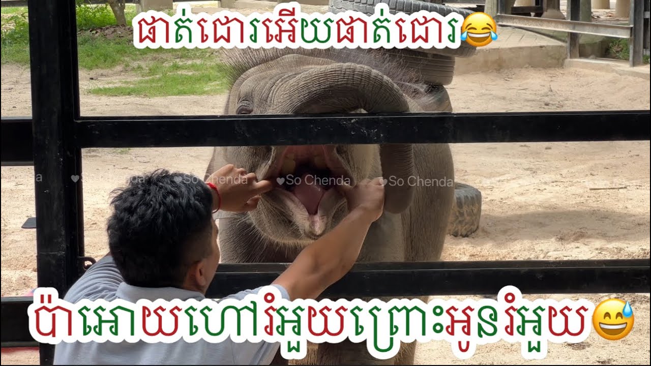 ផាត់ជោរអើយប៉ាថាហៅរំអួយក៏បានដែរព្រោះពេលខ្លះអូនរំអួយហាសហា