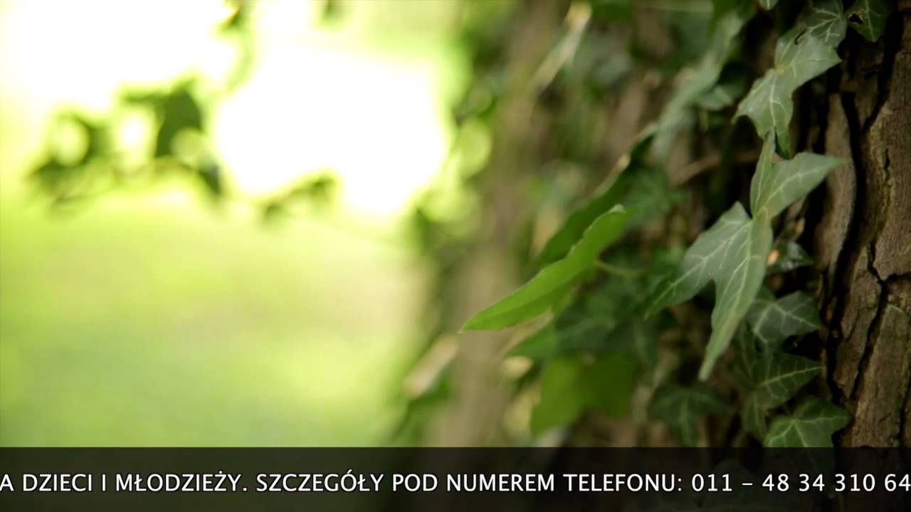 REPORTAŻ ND - Śląsk: Zespół Pieśni i Tańca Śląsk im. Stanisław Hadyny (Zbigniew Cierniak)