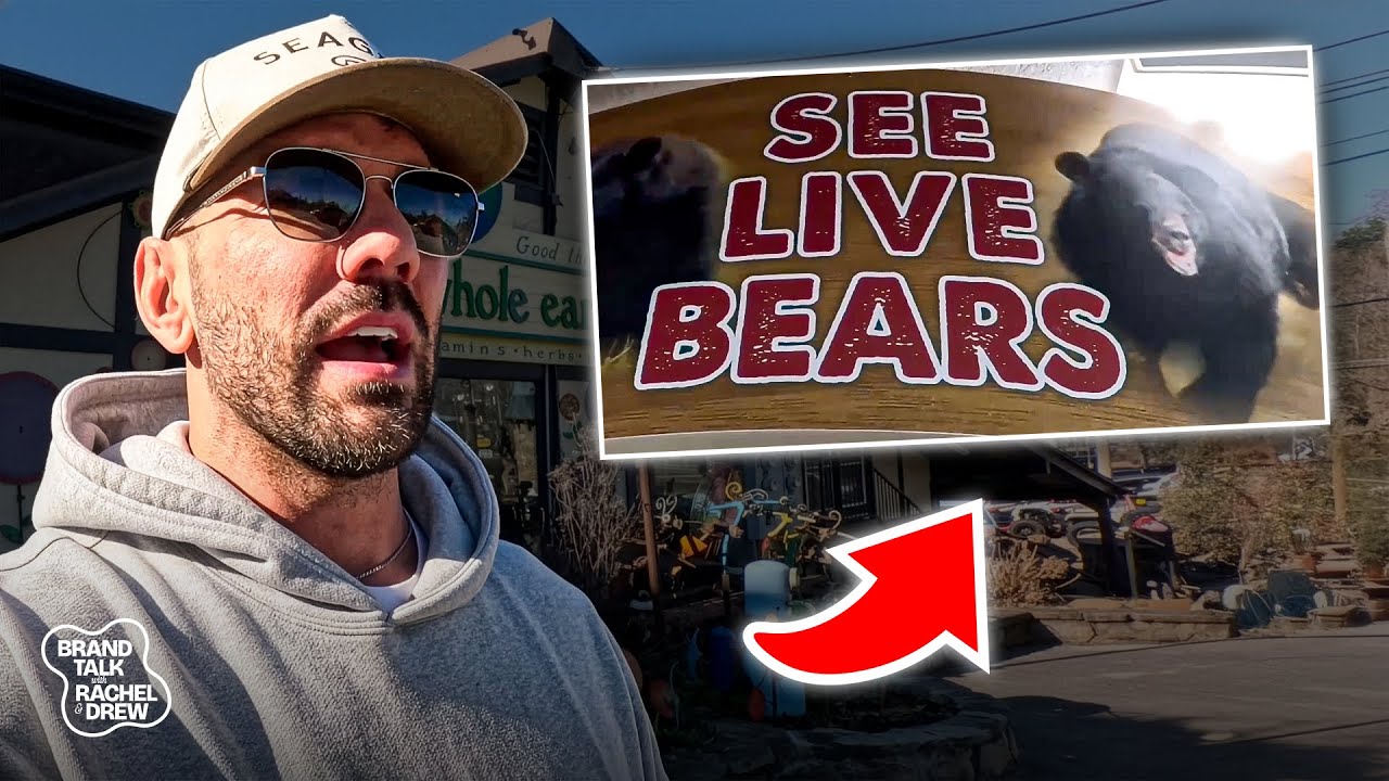 We See Live Bears!? Gatlinburg Part 2!