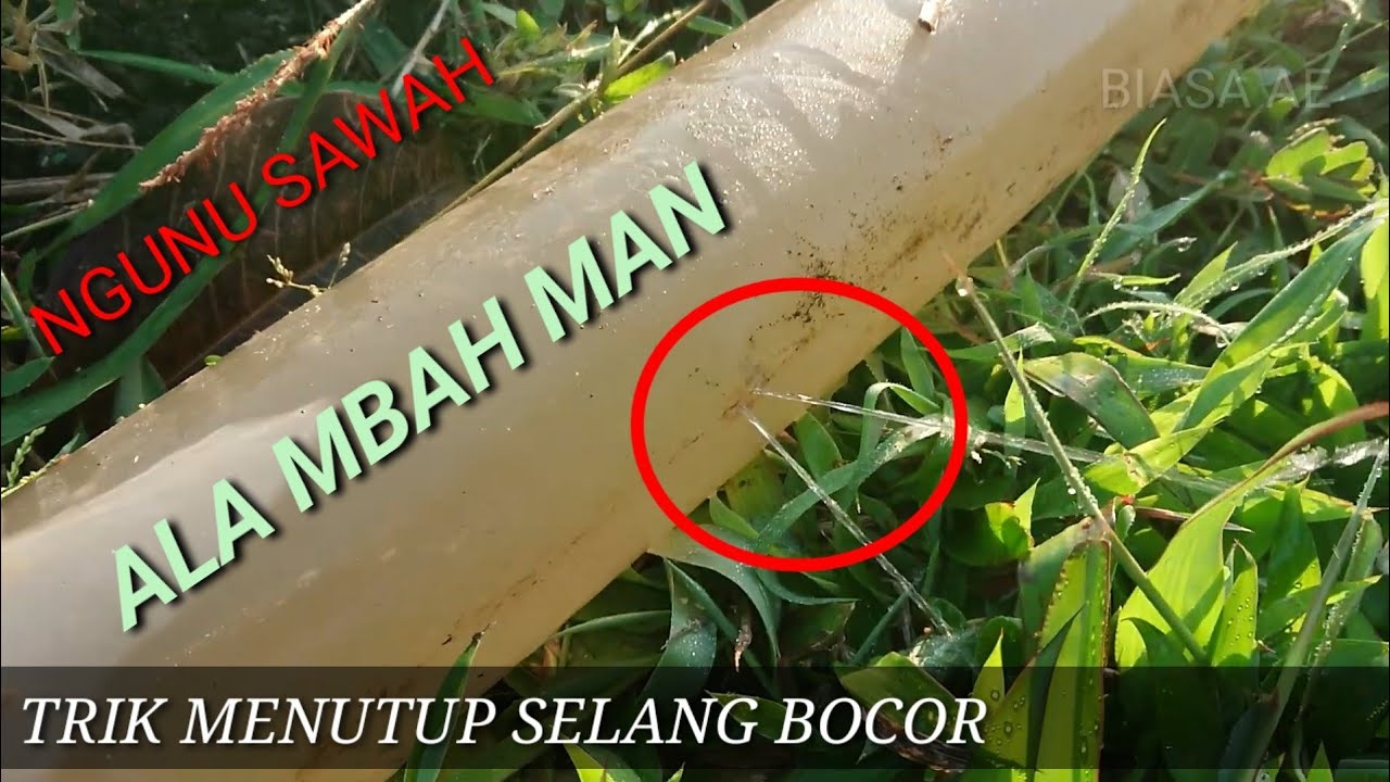 Trik menutup selang bocor ala Mbah Man petani WGM