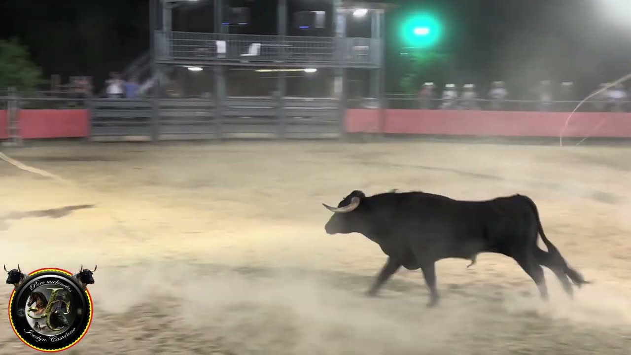 Cuadrilla del Compa Buddy vs. Toro Bravo 💥