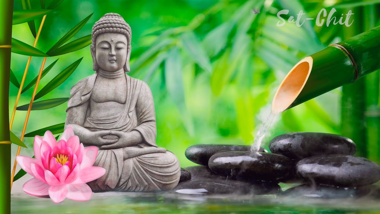 M&Uacute;SICA ZEN RELAJANTE: Agua, Flauta de Bamb&uacute; y Sonidos de la Naturaleza ॐ Sanar Cuerpo, Mente y Alma