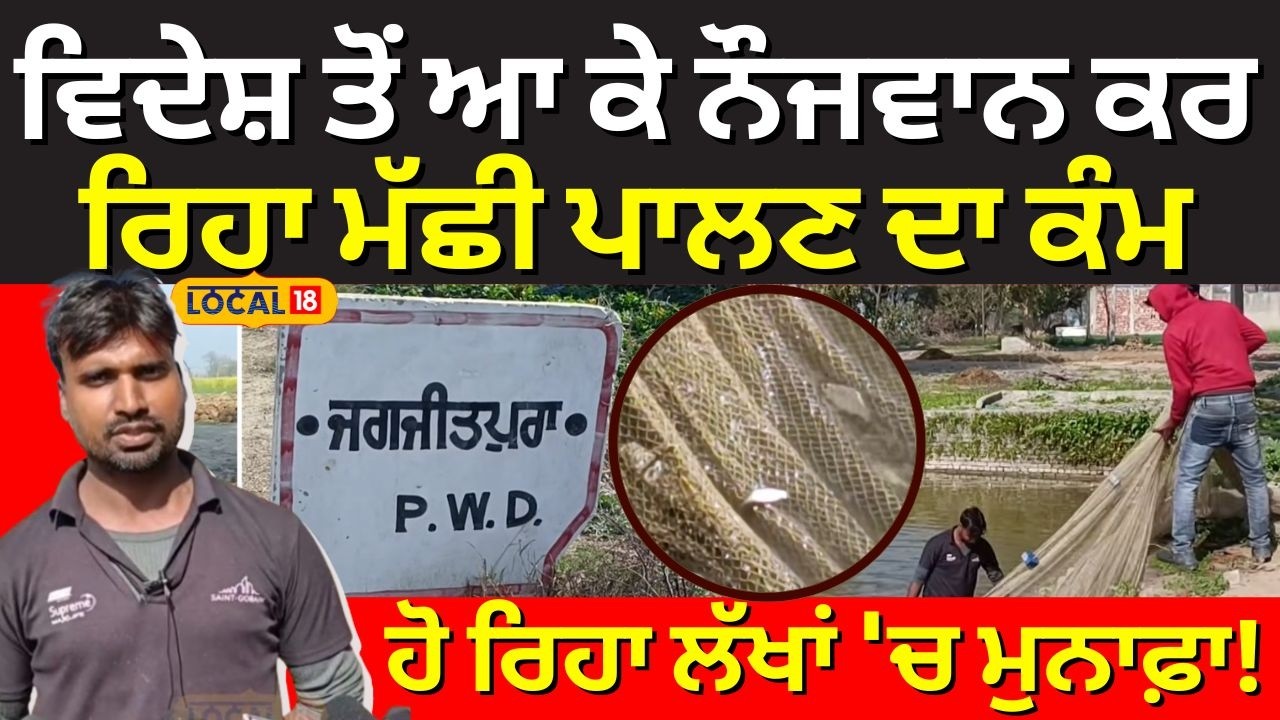 Barnala News|ਵਿਦੇਸ਼ ਤੋਂ ਆ ਕੇ ਨੌਜਵਾਨ ਕਰ ਰਿਹਾ ਮੱਛੀ ਪਾਲਣ ਦਾ ਕੰਮ, ਹੋ ਰਿਹਾ ਲੱਖਾਂ 'ਚ ਮੁਨਾਫਾ|NRI | #local18