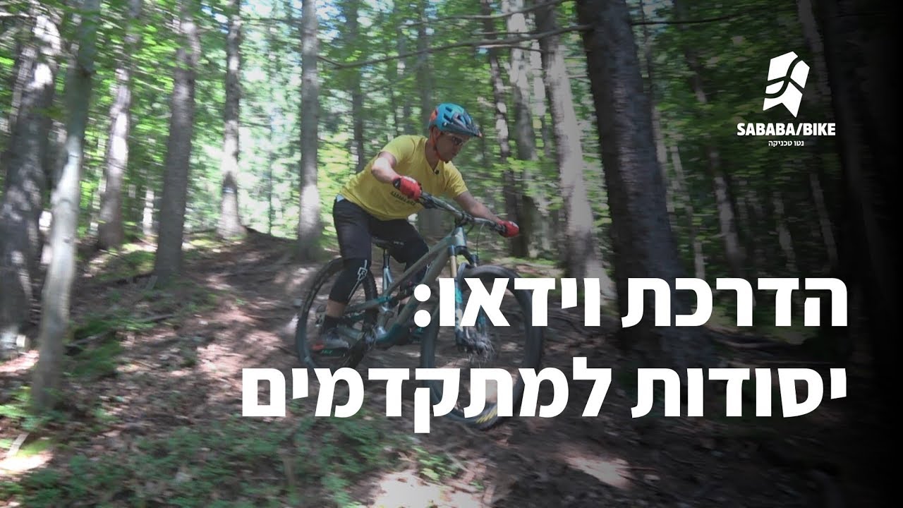 הדרכת וידאו: יסודות למתקדמים