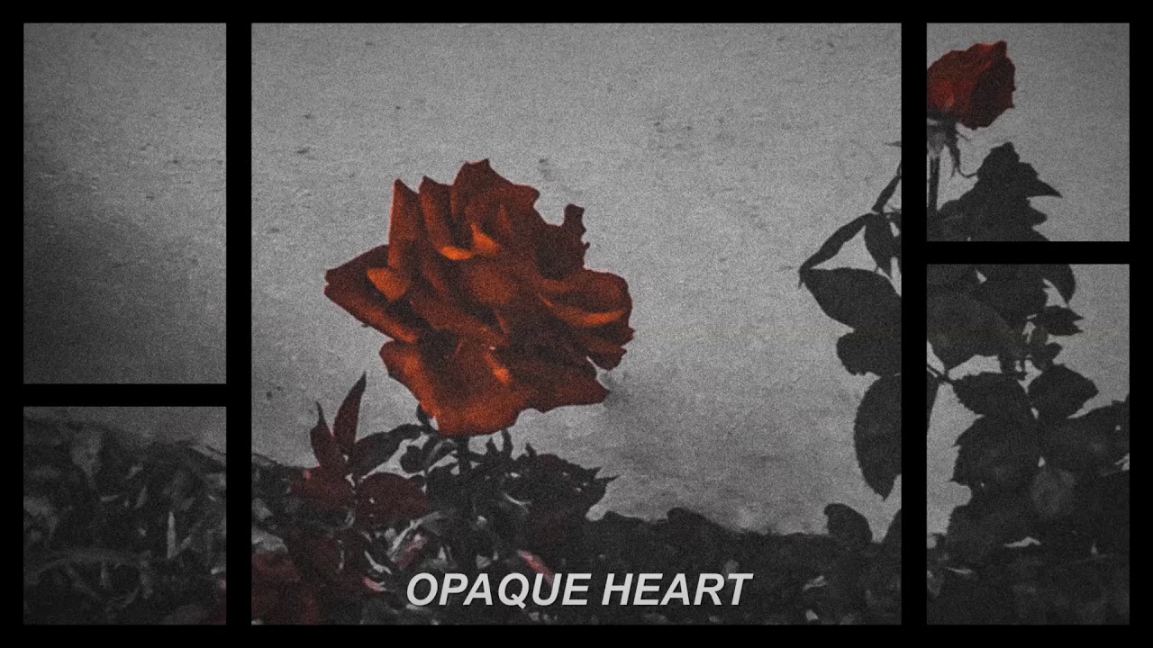 Kellan Tears - Viejo Amor (Lyrics video)